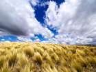 Argentina, Cordoba Province. Quebrada del Condorito National Park. Art Print